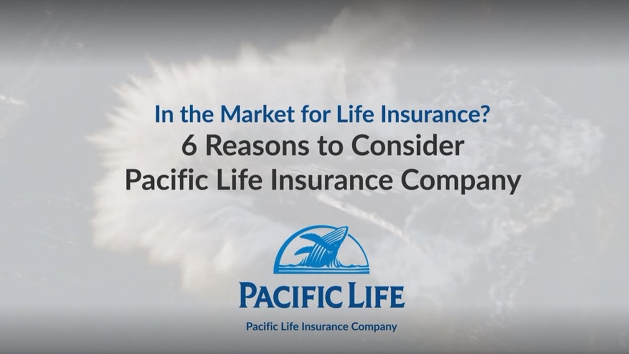 Trans Pacific Insurance Company News