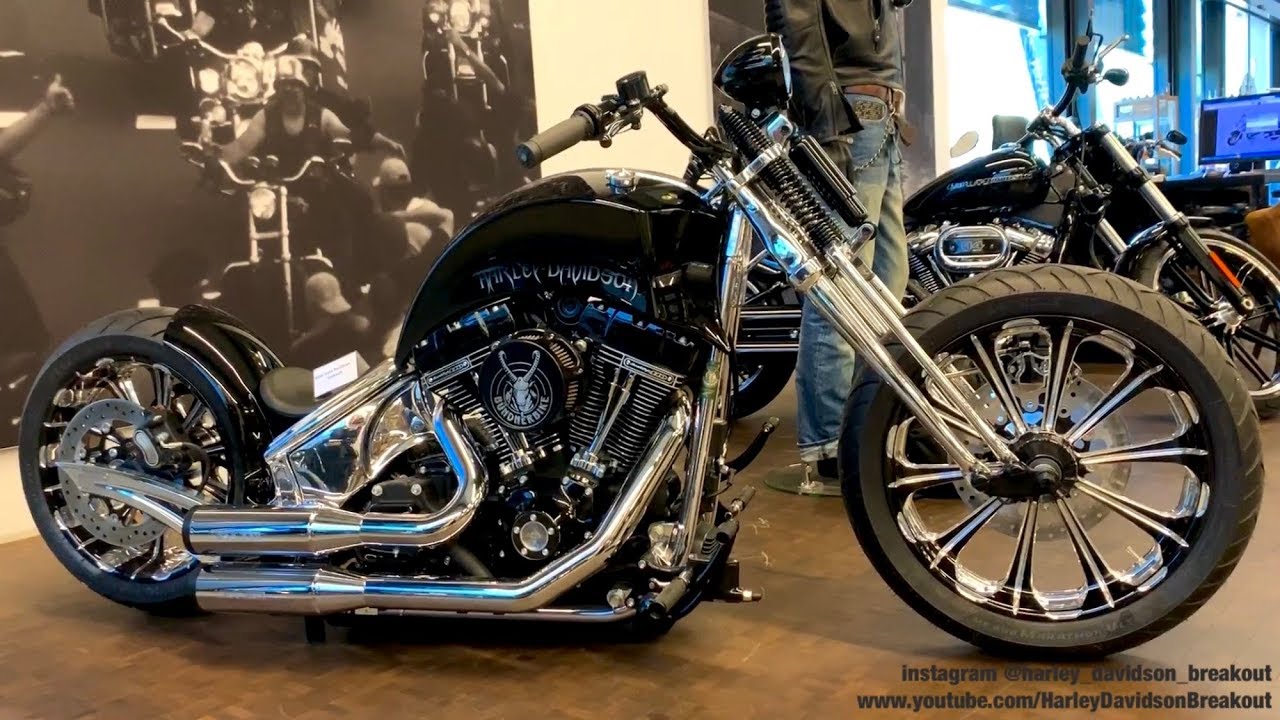 harley davidson insurance